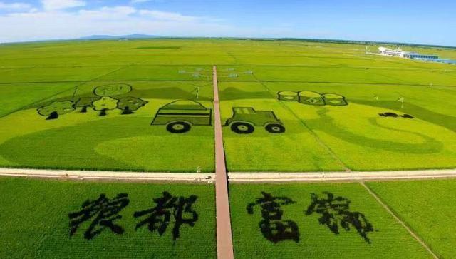 富硒大米怎么吃好(富硒大米吃多了会中毒吗)-硒宝网