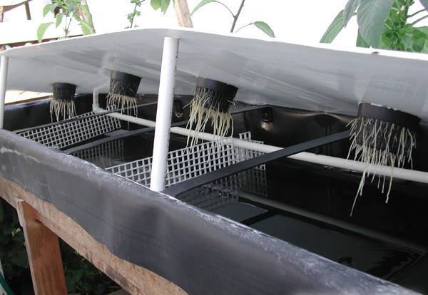 恩施富硒大米好吗(恩施富硒米多少钱一斤)-硒宝网