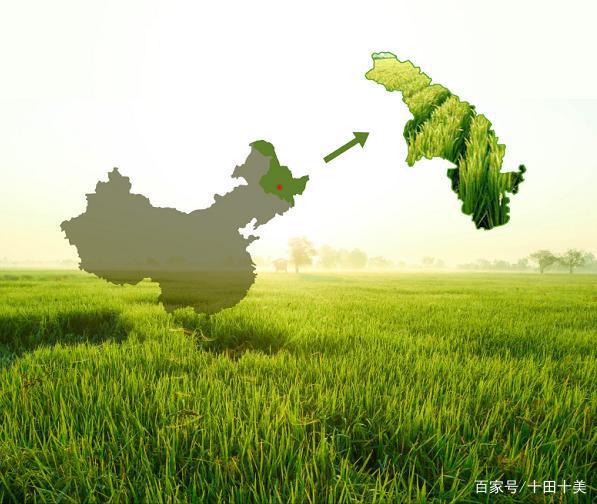 富硒大米东北基地(东北富硒大米的营养价值和功效)-硒宝网