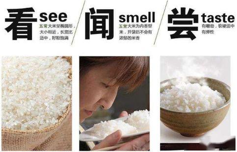 宁夏富硒大米口感(宁夏大米好吗)-硒宝网