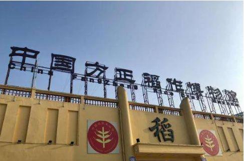 宁夏富硒大米口感(宁夏大米好吗)-硒宝网