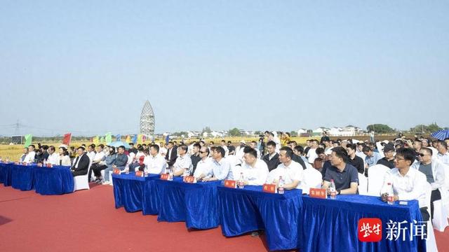 富硒大米江苏产地(富硒大米哪里生产最好)-硒宝网