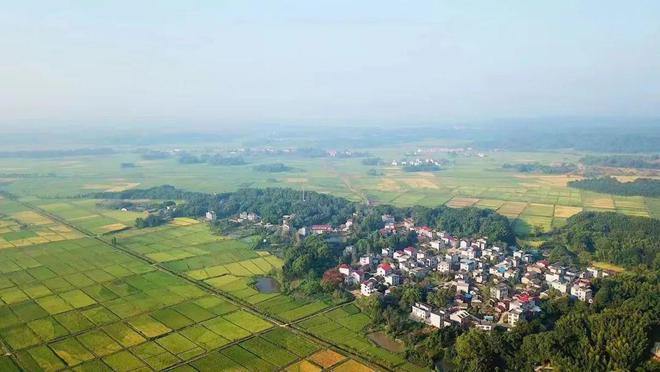 广西富硒有机大米（富硒大米好在哪）-硒宝网