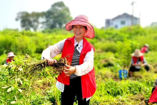 广西富硒有机大米（富硒大米好在哪）-硒宝网