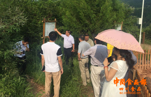 巴山富硒大米产量（最好的富硒大米多少钱一斤）-硒宝网