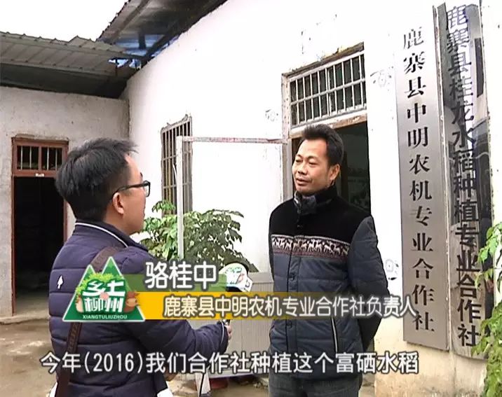 富硒大米5.6块（大米富硒米是健康食品吗）-硒宝网