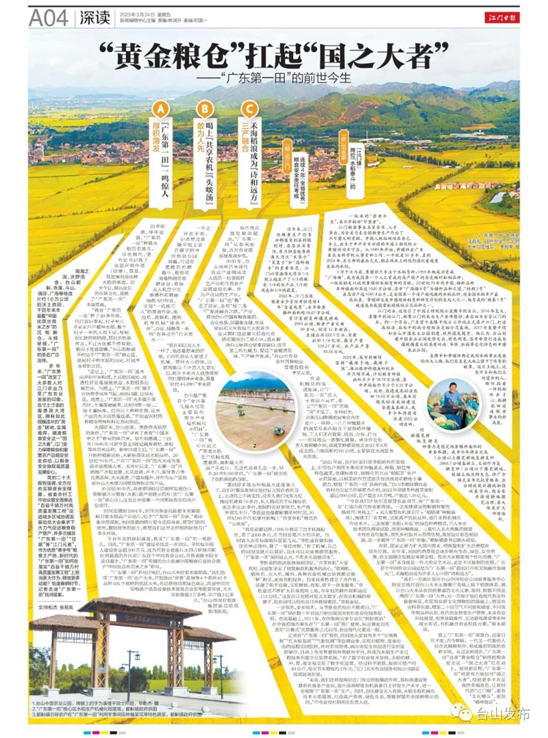 东北富硒大米品种（东北富硒米多少钱一斤）-硒宝网