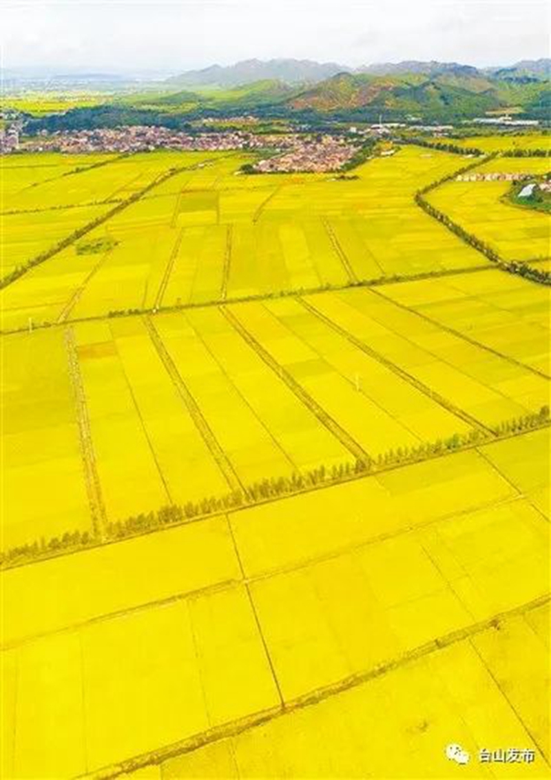 东北富硒大米品种（东北富硒米多少钱一斤）-硒宝网