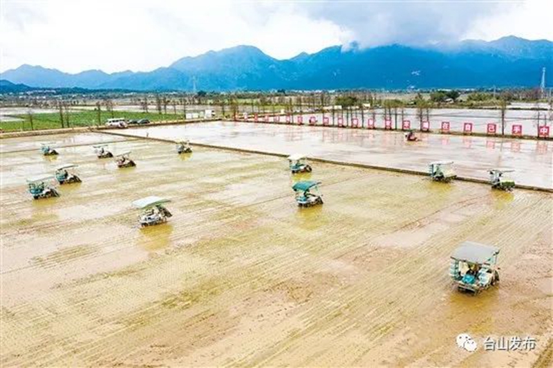 东北富硒大米品种（东北富硒米多少钱一斤）-硒宝网