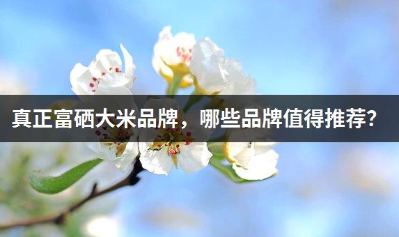 中国最富富硒大米（富硒大米市场前景）-硒宝网