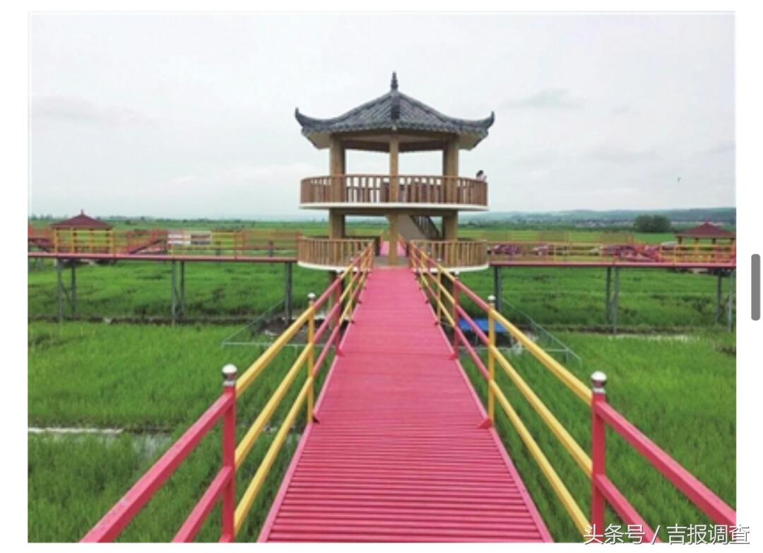 延边大米有机富硒(延寿富硒大米)-硒宝网