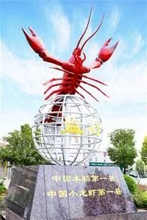 富硒大米公共品牌(富硒优质大米)-硒宝网