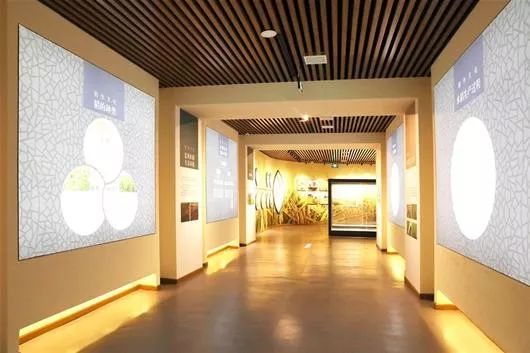 富硒大米公共品牌(富硒优质大米)-硒宝网