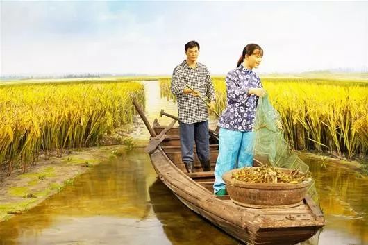 富硒大米公共品牌(富硒优质大米)-硒宝网