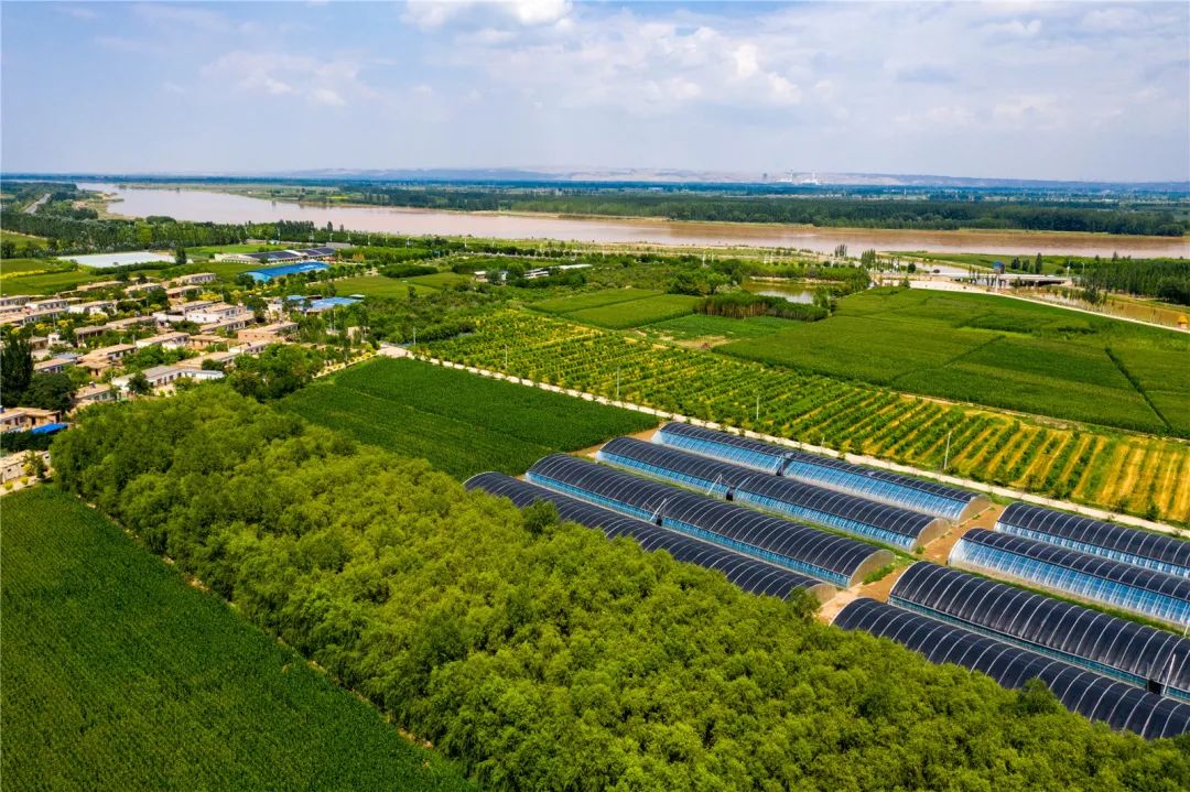 宁夏富硒大米简介(宁夏的大米有名吗)-硒宝网