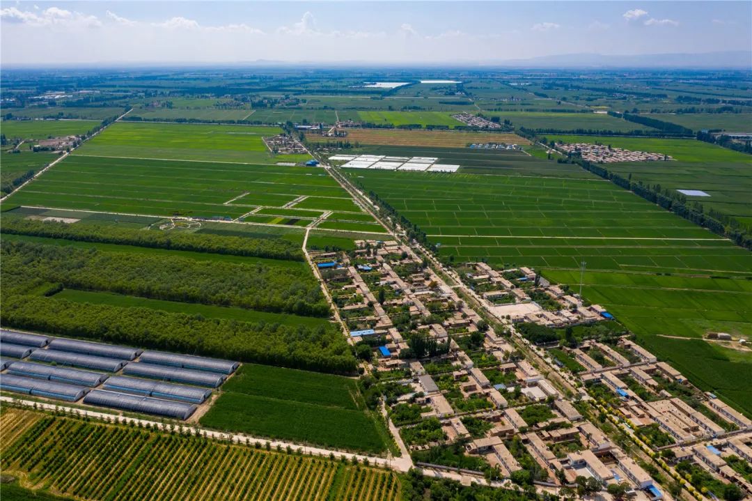 宁夏富硒大米简介(宁夏的大米有名吗)-硒宝网