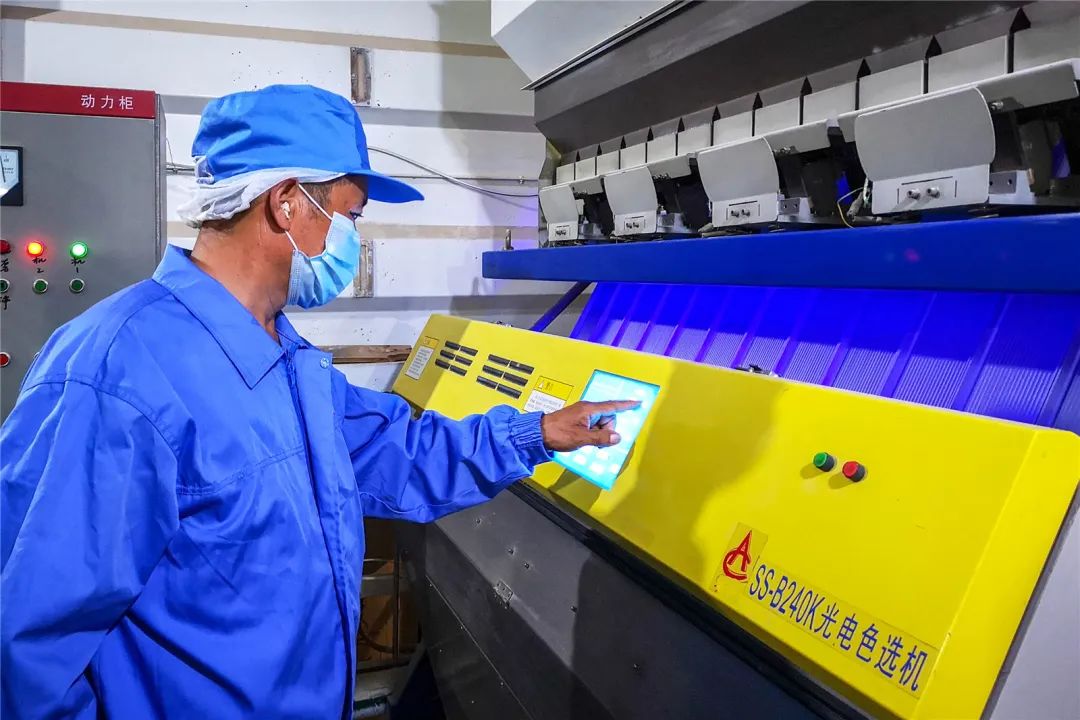 宁夏富硒大米简介(宁夏的大米有名吗)-硒宝网