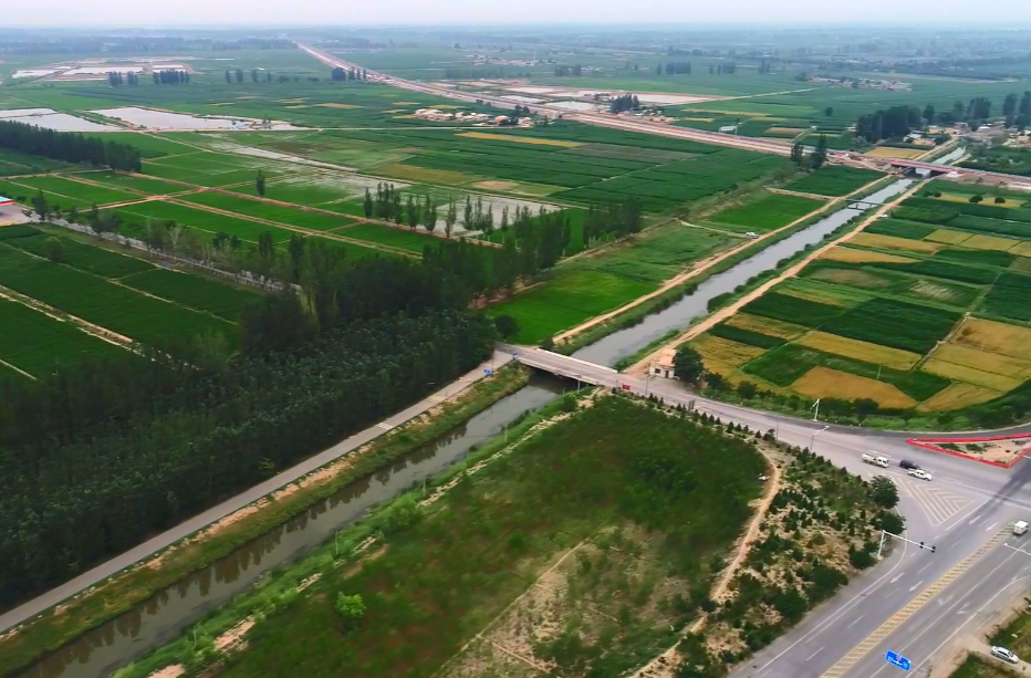 宁夏富硒大米简介(宁夏的大米有名吗)-硒宝网