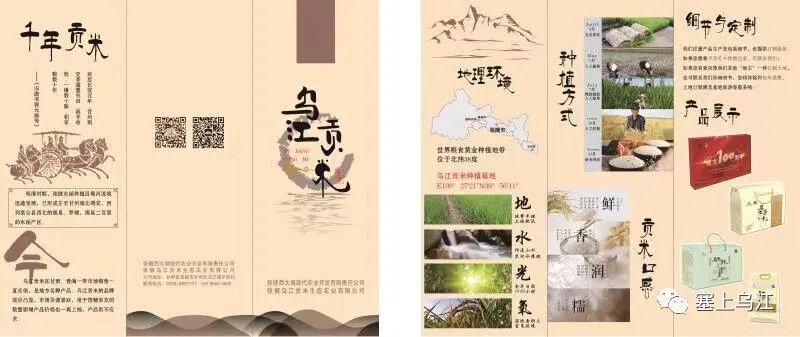 天然富硒大米品牌(大米天然富硒品牌排名)-硒宝网