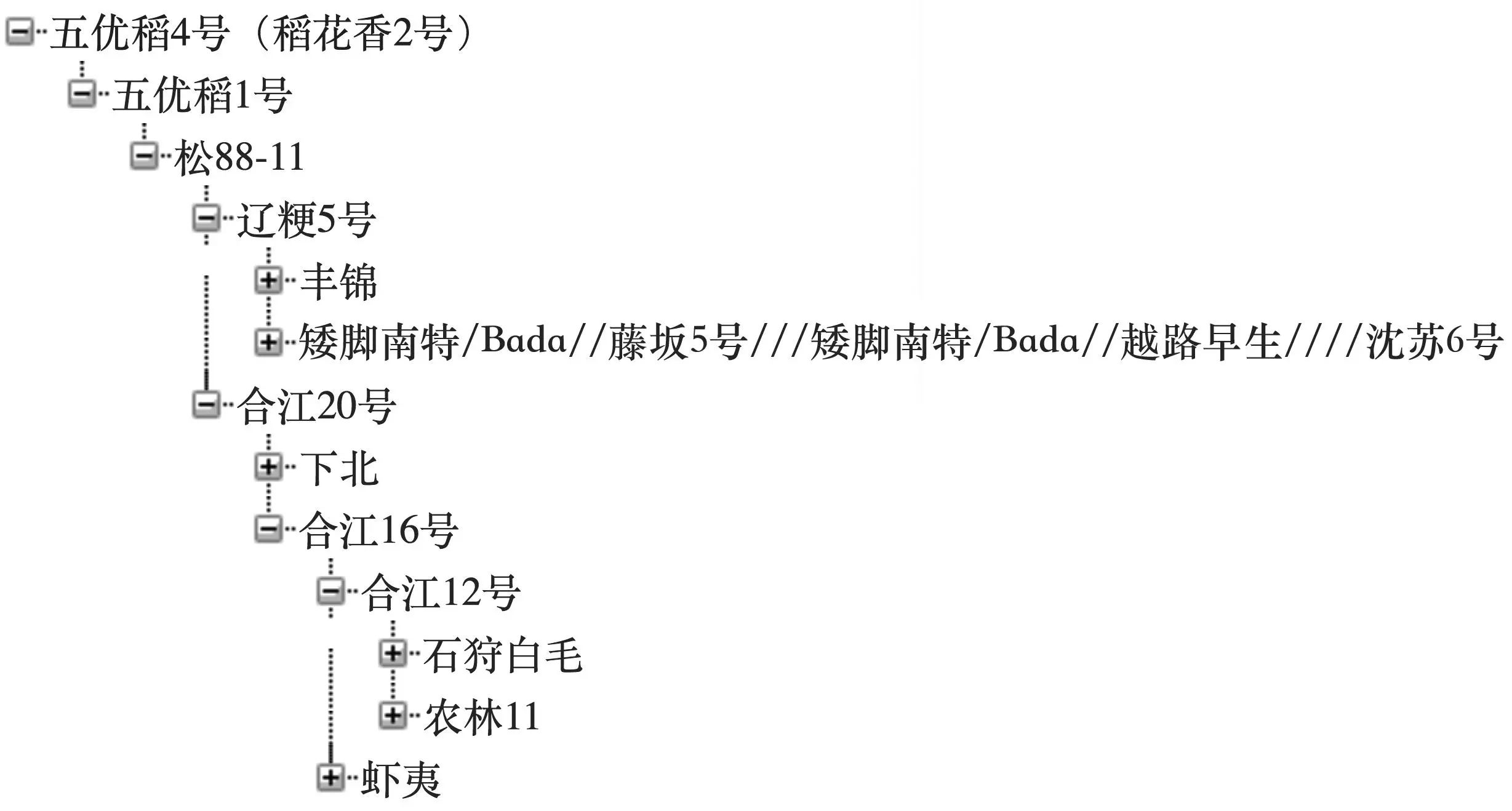 政府采购富硒大米（富硒大米市场前景）-硒宝网