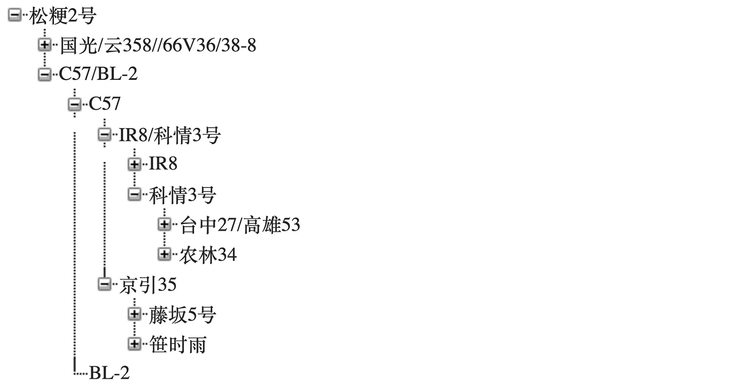 政府采购富硒大米（富硒大米市场前景）-硒宝网