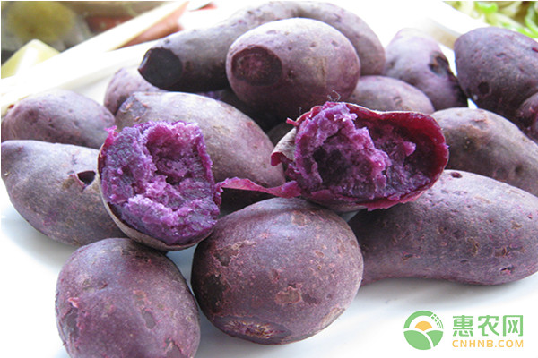 富硒大米走俏市场（富硒大米市场前景）-硒宝网