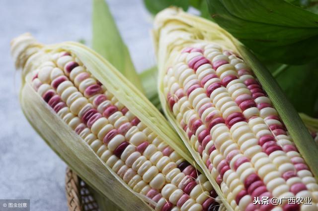 富硒大米检测标准（富硒大米检测报告）-硒宝网