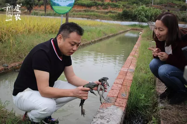 辉南富硒大米种植（富硒大米的种植）-硒宝网