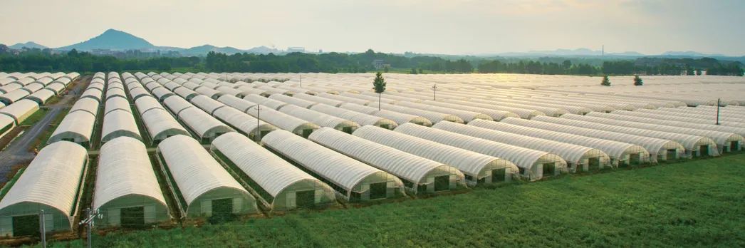 高安富硒大米产区（富硒大米哪里生产最好）-硒宝网