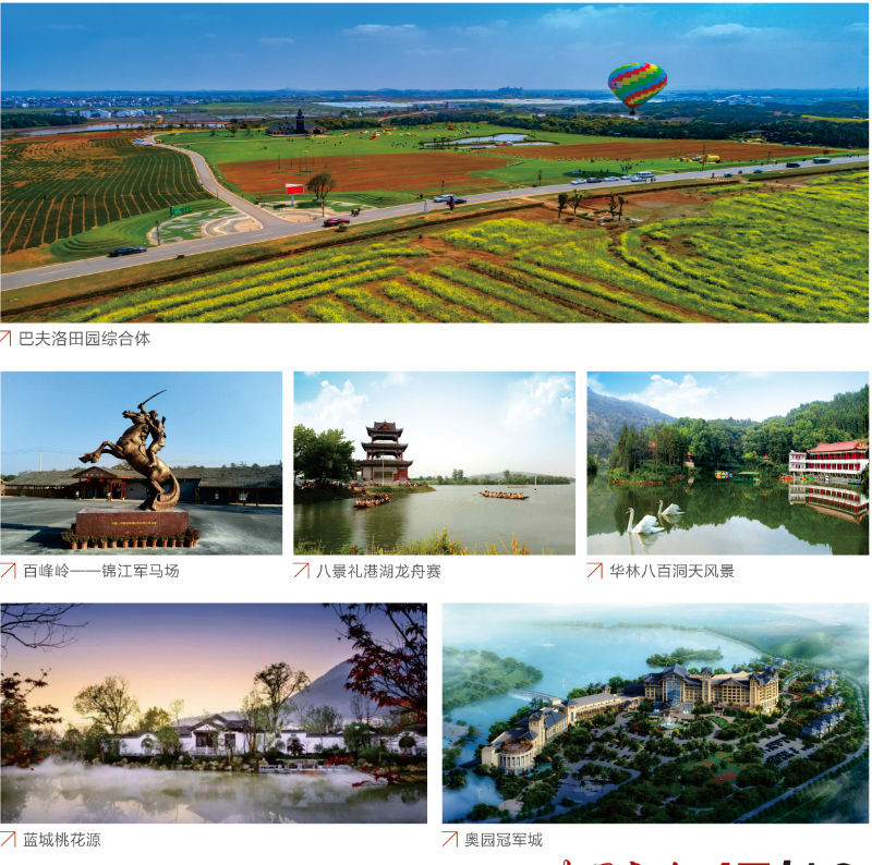 高安富硒大米产区（富硒大米哪里生产最好）-硒宝网