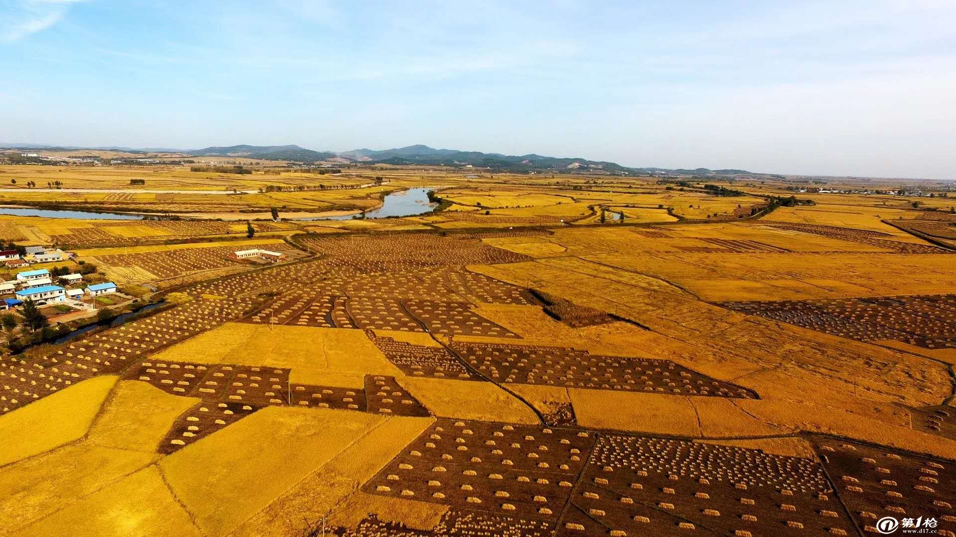 铁岭富硒绿色大米（富硒大米价格）-硒宝网