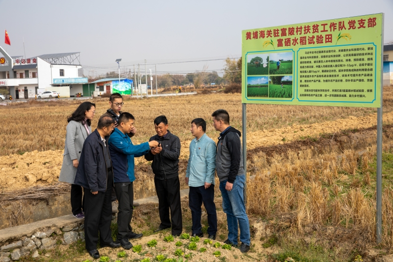 贵港富硒大米脱贫(贵港市富硒大米)-硒宝网