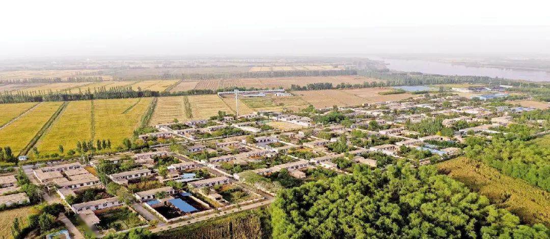 天下稻香富硒大米(稻秋香富硒大米价格)-硒宝网