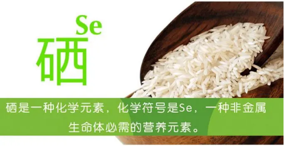 研发富硒健康大米(富硒大米的绿色骗局)-硒宝网