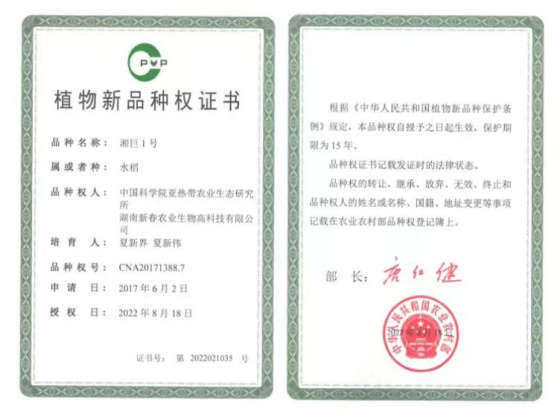 研发富硒健康大米(富硒大米的绿色骗局)-硒宝网