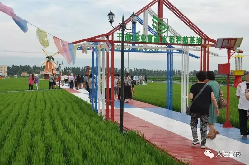 富硒盘锦大米配送(富锦富硒大米)-硒宝网