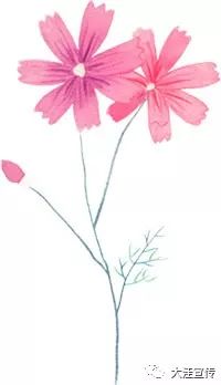 富硒盘锦大米配送(富锦富硒大米)-硒宝网