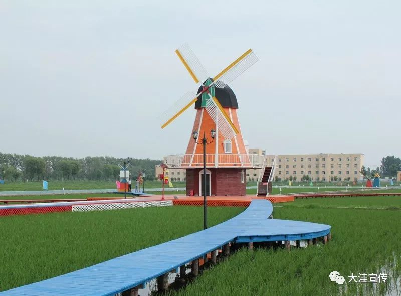 富硒盘锦大米配送(富锦富硒大米)-硒宝网