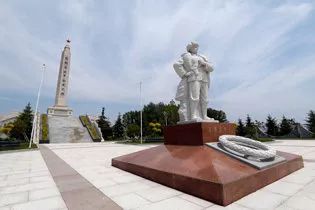 宜春富硒大米啤酒(富硒米啤酒是哪里产的)-硒宝网