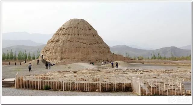 宜春富硒大米啤酒(富硒米啤酒是哪里产的)-硒宝网