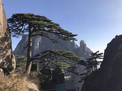 宜春富硒大米啤酒(富硒米啤酒是哪里产的)-硒宝网