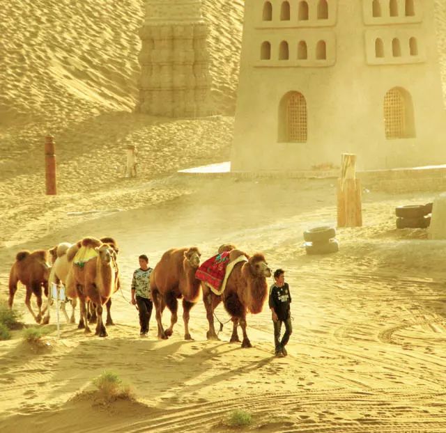 宜春富硒大米啤酒(富硒米啤酒是哪里产的)-硒宝网