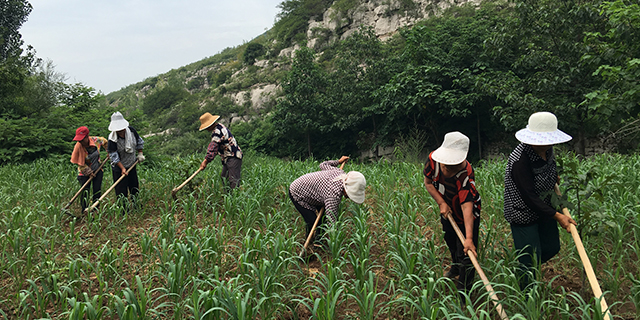 中山有机富硒大米(富硒大米生产技术)-硒宝网