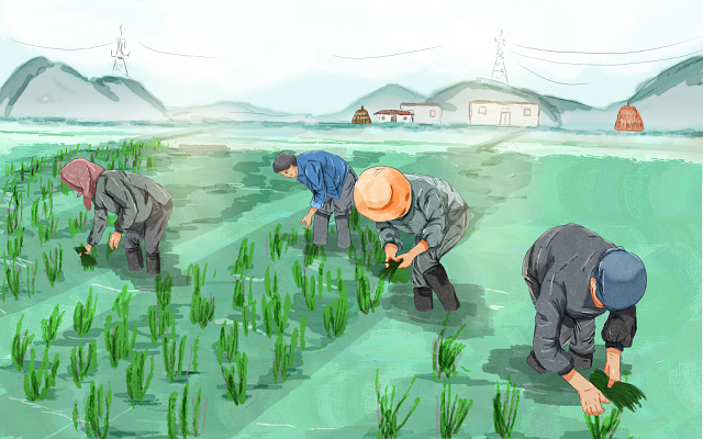 吉林延边富硒大米（吉林延边大米价格）-硒宝网