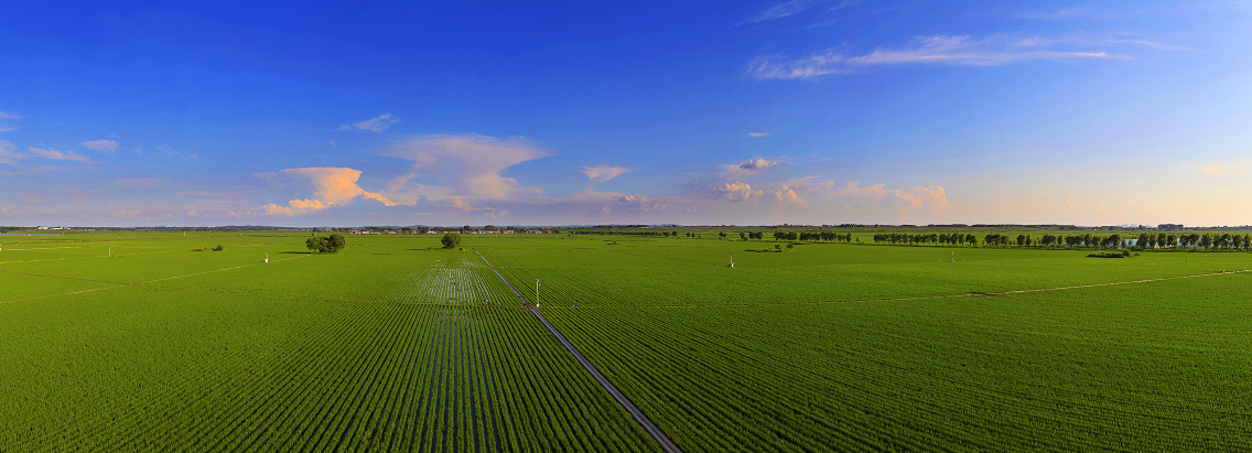 富硒大米专家讲解(富硒大米的由来)-硒宝网