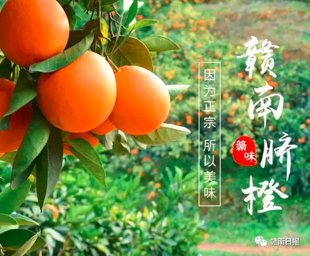 江西龙南富硒大米（江西富硒大米基地）-硒宝网