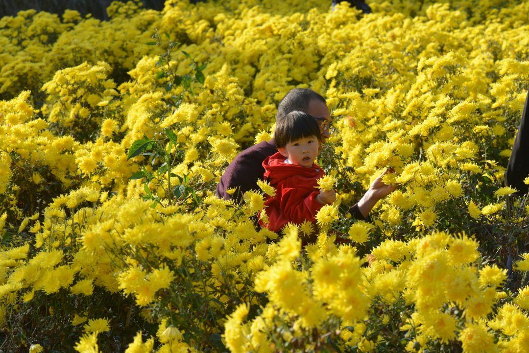 吉林梨树富硒大米(吉林富硒大米价格)-硒宝网