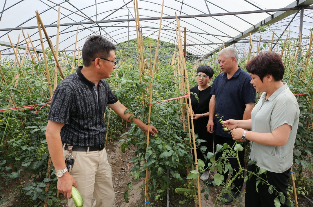 吉林梨树富硒大米(吉林富硒大米价格)-硒宝网