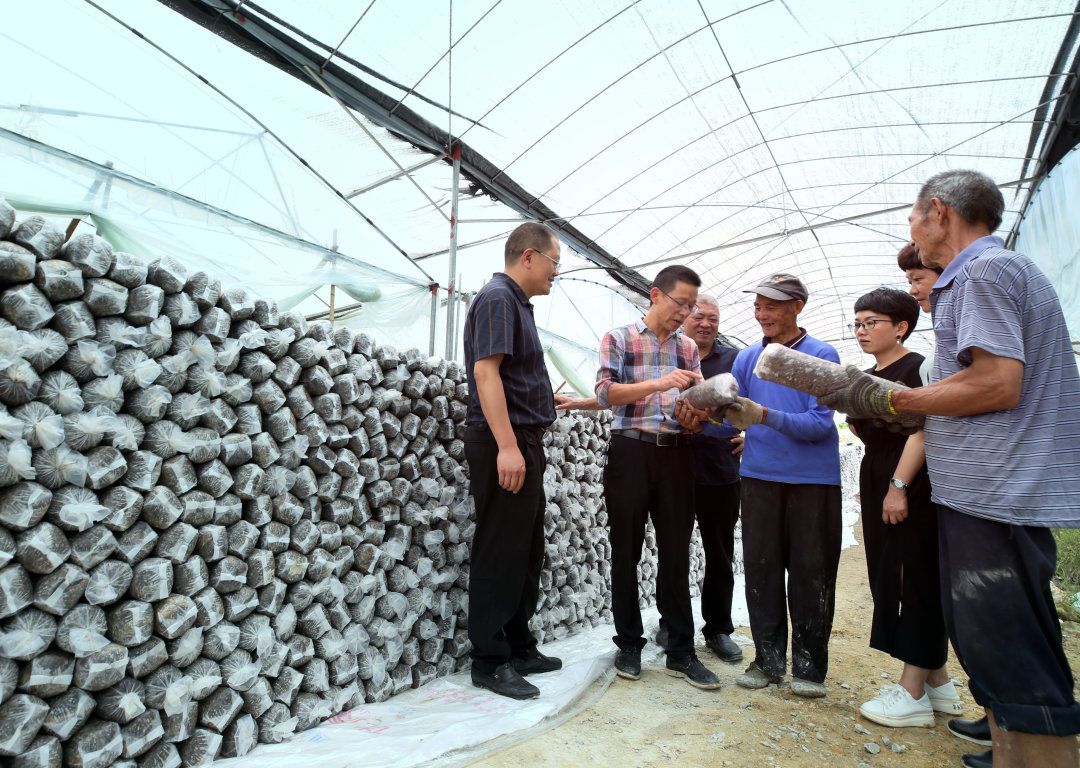 吉林梨树富硒大米(吉林富硒大米价格)-硒宝网