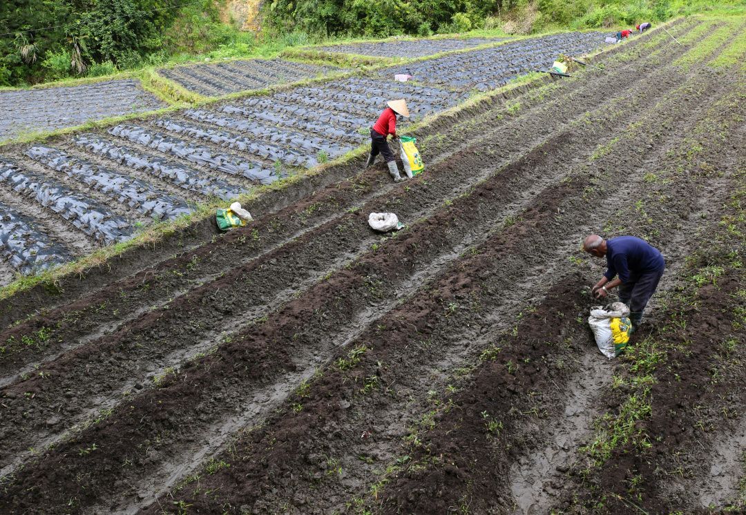 吉林梨树富硒大米(吉林富硒大米价格)-硒宝网